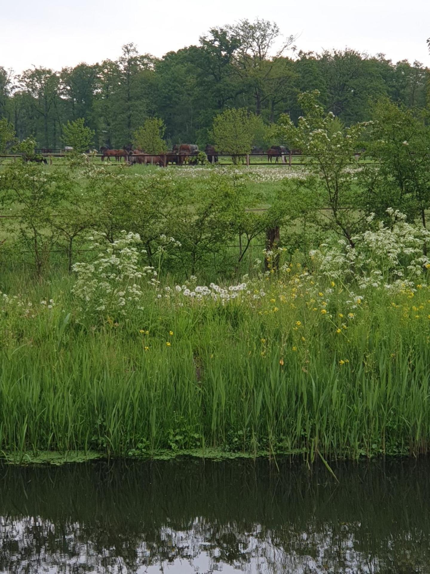 Landgoed De Lavei Bed & Breakfast Weleveld Luaran gambar