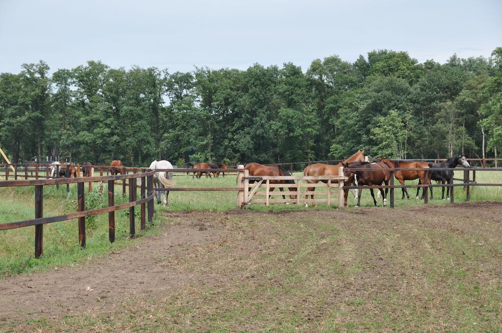 Landgoed De Lavei Bed & Breakfast Weleveld Luaran gambar