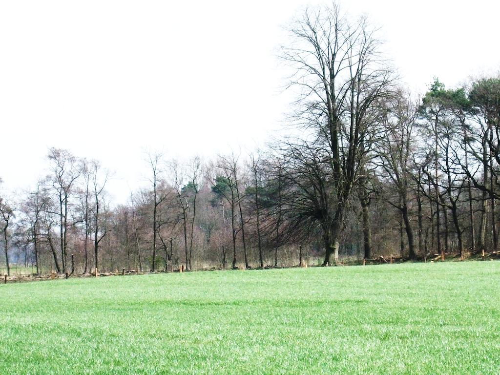 Landgoed De Lavei Bed & Breakfast Weleveld Luaran gambar