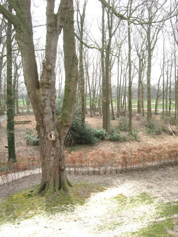 Landgoed De Lavei Bed & Breakfast Weleveld Luaran gambar