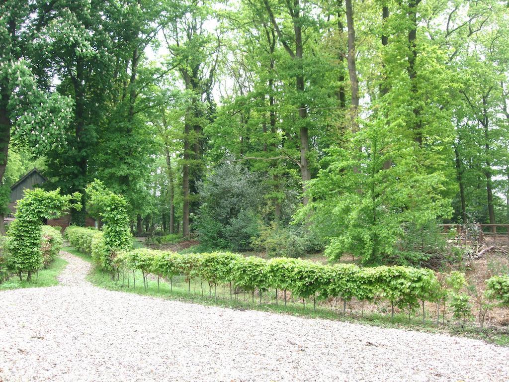 Landgoed De Lavei Bed & Breakfast Weleveld Luaran gambar